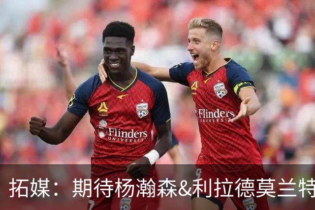 拓媒：期待杨瀚森&利拉德莫兰特打出默契 霍勒迪打法对他有帮助