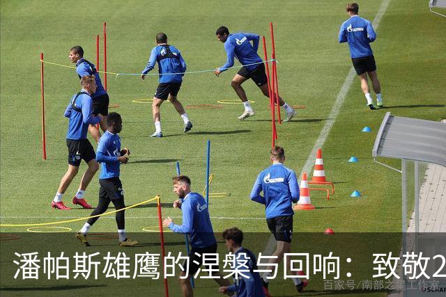 潘帕斯雄鹰的涅槃与回响：致敬2026的亚军，也致敬不屈的灵魂